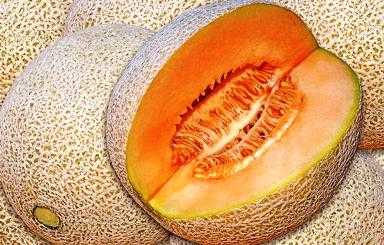 melon